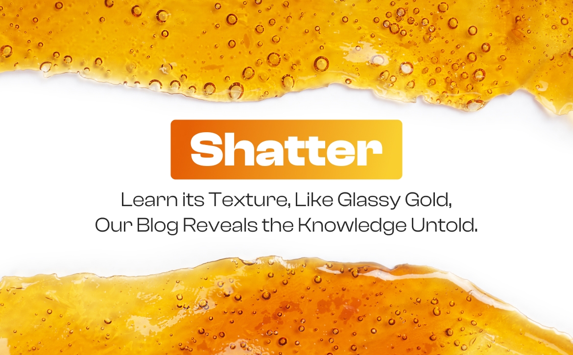 Cannabis Shatter Guide