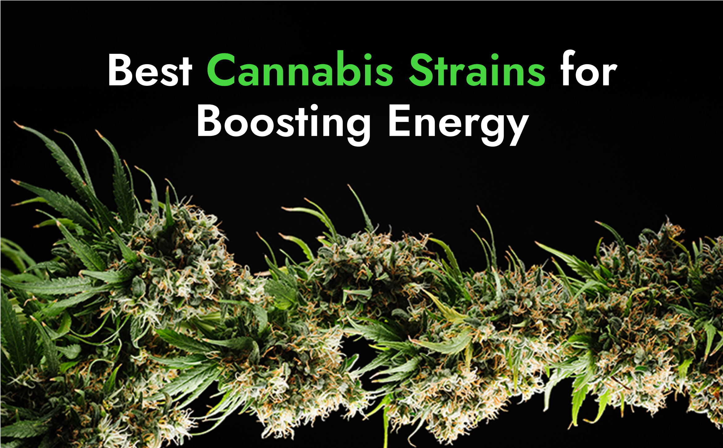Best cannabis strains for boosting energy