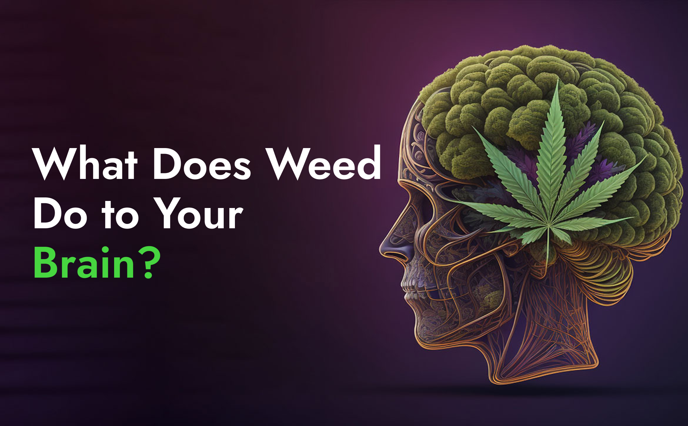 what does weed do to your brain
