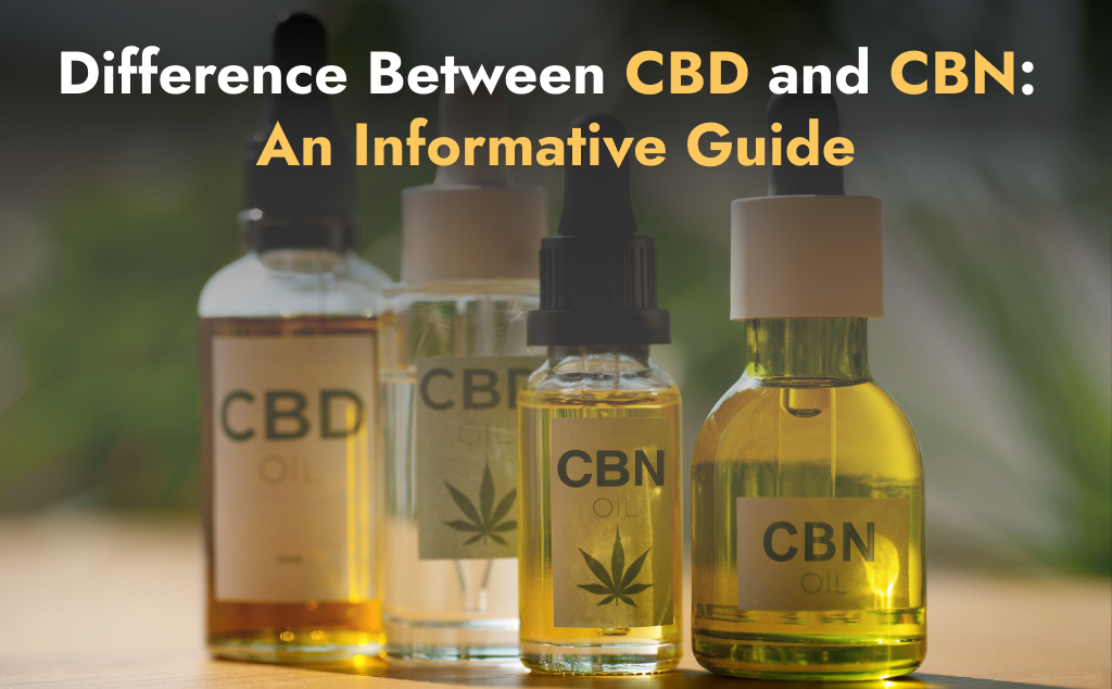 Difference Between CBD and CBN_ An Informative Guide