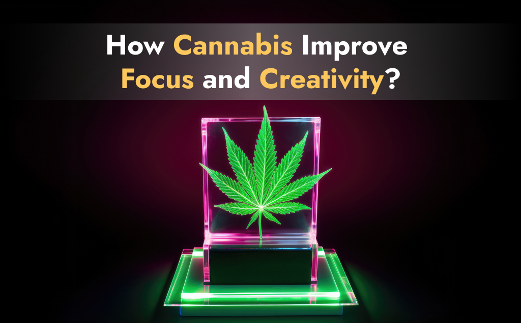 How Cannabis Improve Focus and Creativity