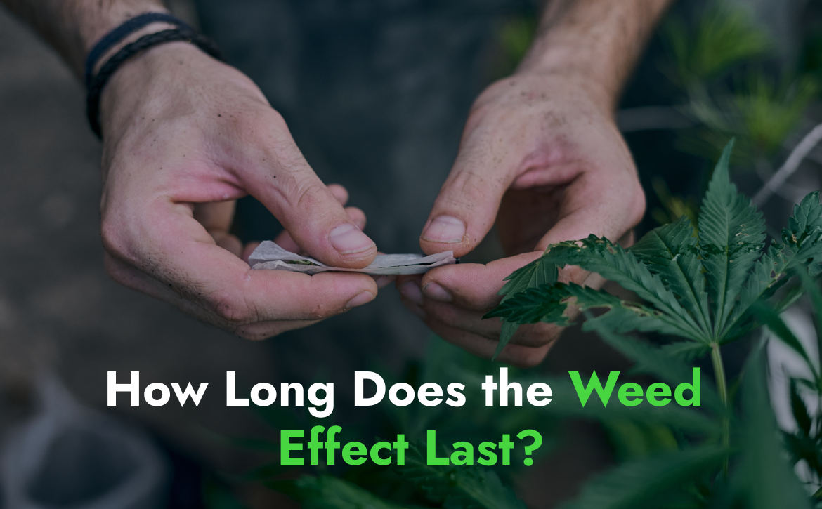 How Long Does the Weed Effect Last