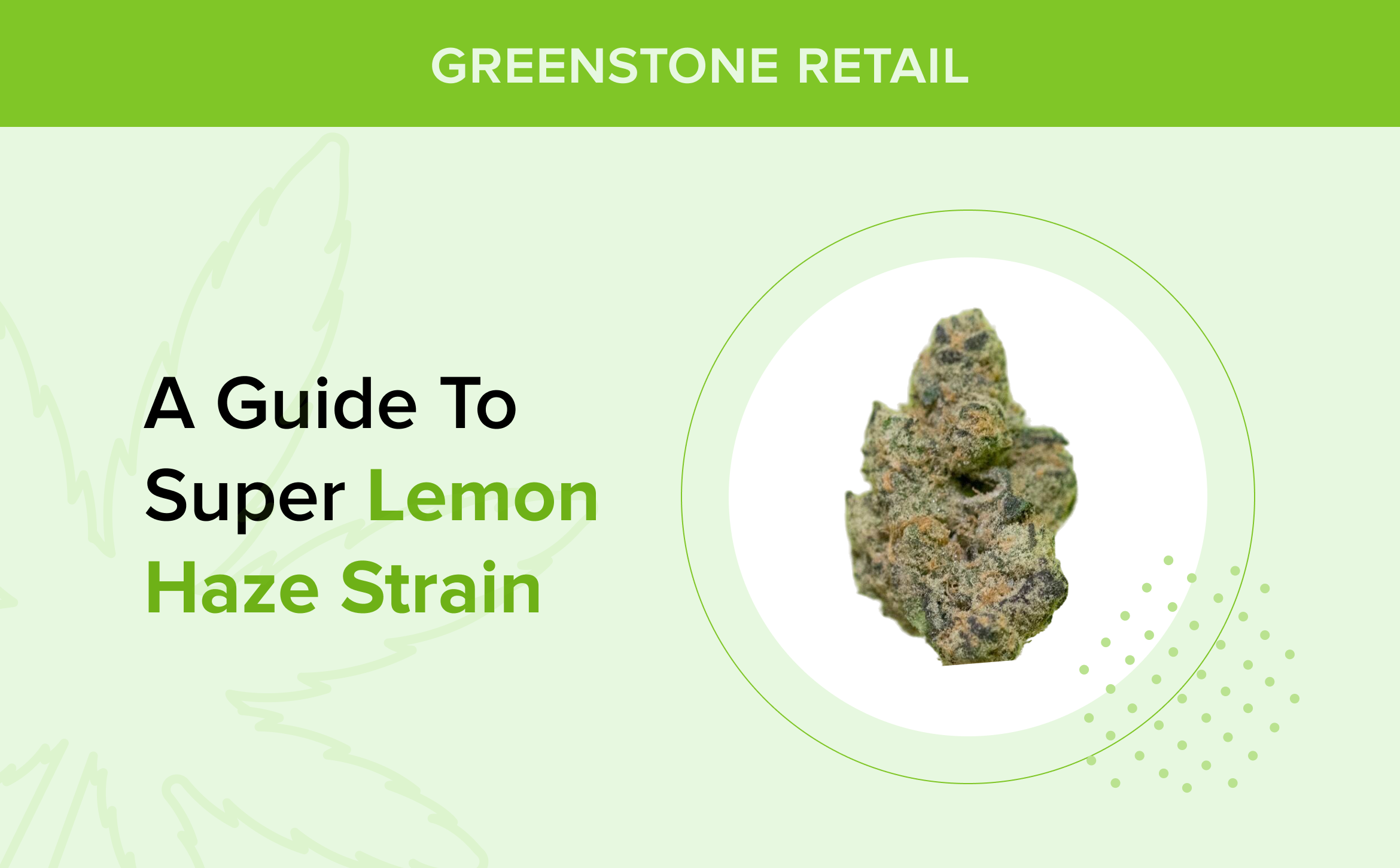 A Guide to Super Lemon Haze Strain
