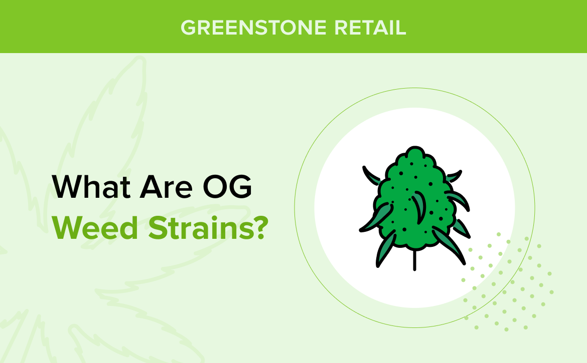 What Are OG Weed Strains