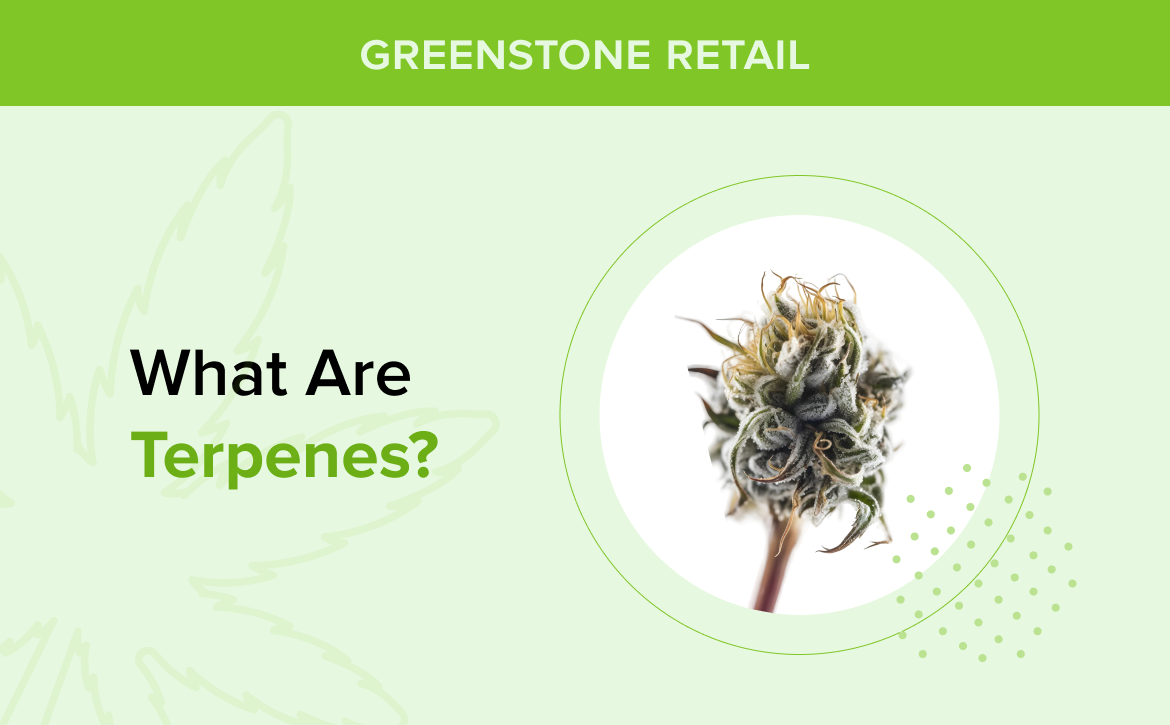 What Are Terpenes