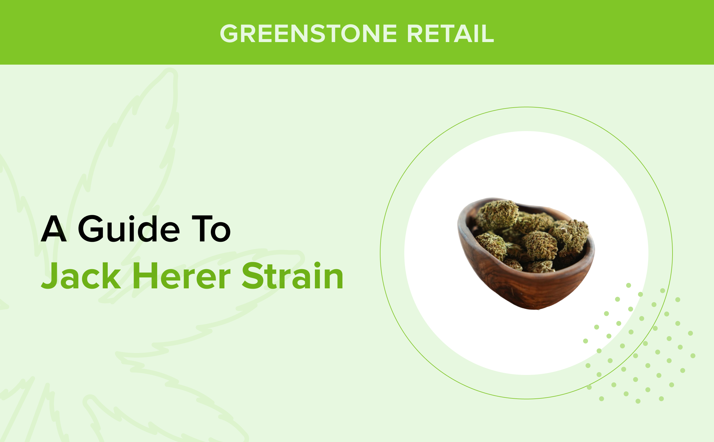 A Guide to Jack Herer Strain