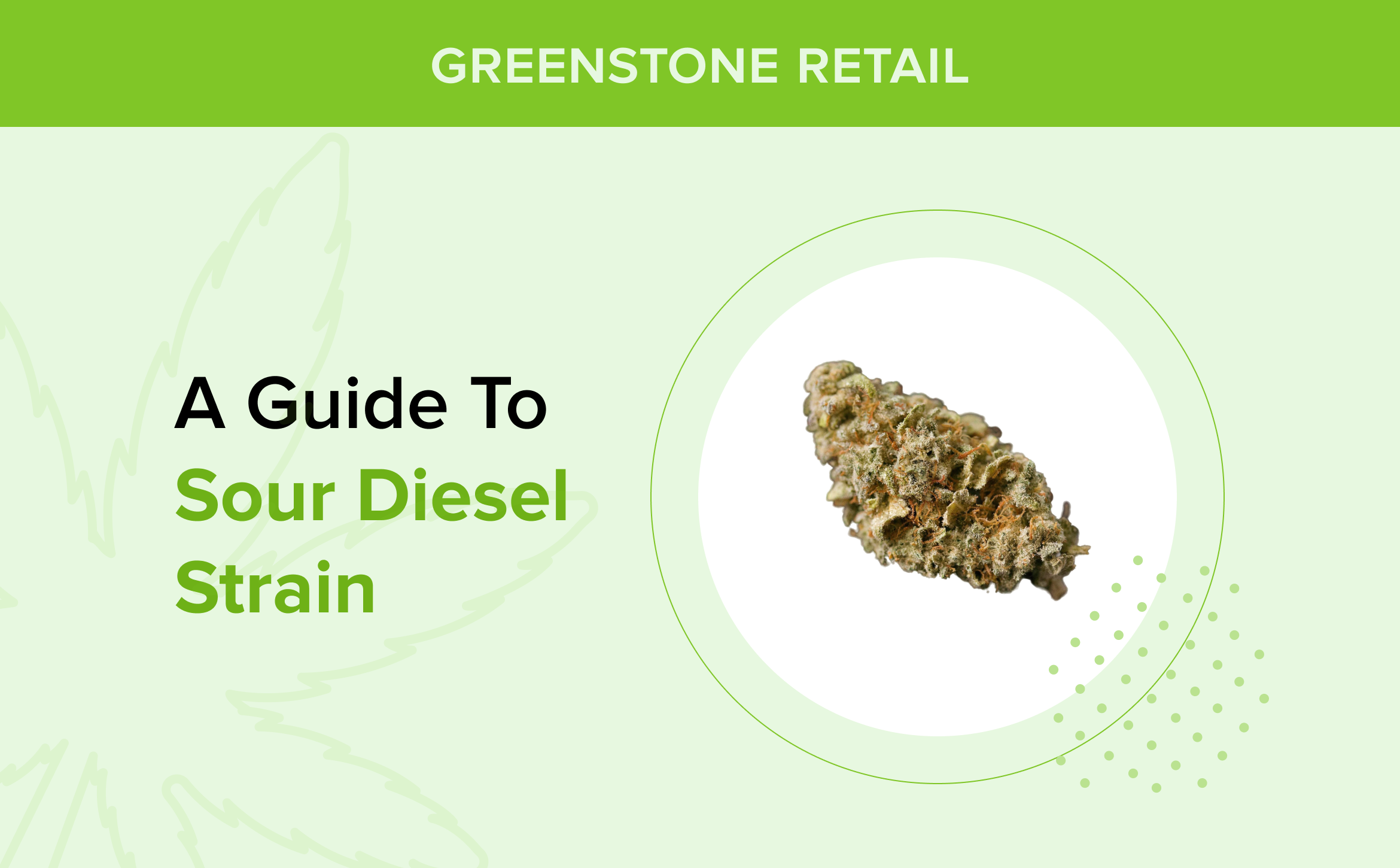 A Guide to Sour Diesel Strain