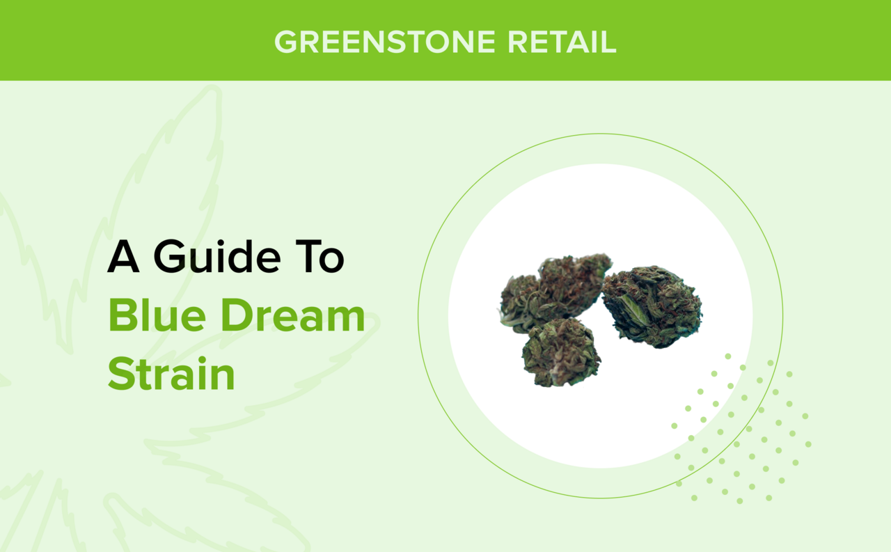 A Guide to Blue Dream Strain