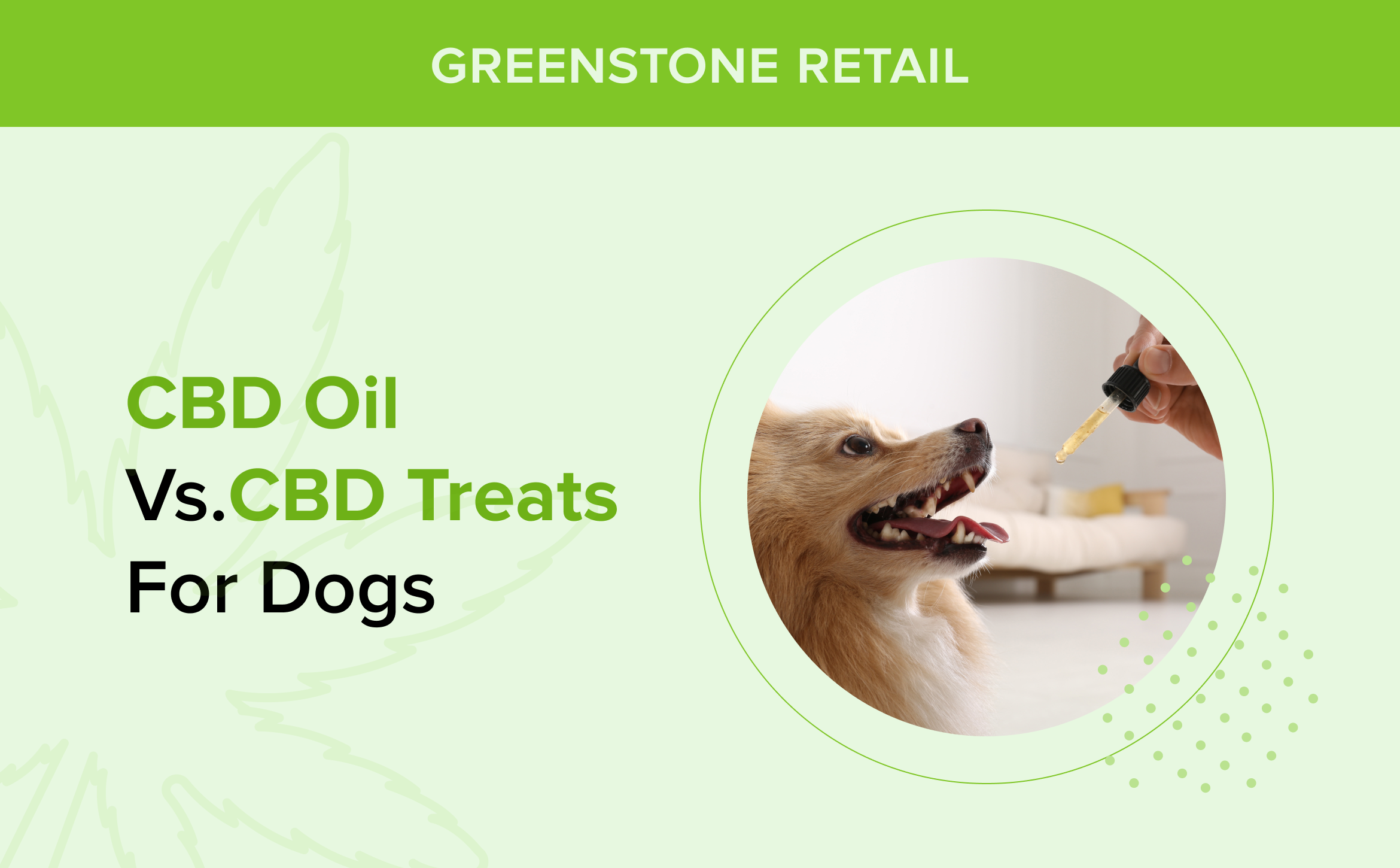 CBD Oil vs.CBD Treats for Dogs
