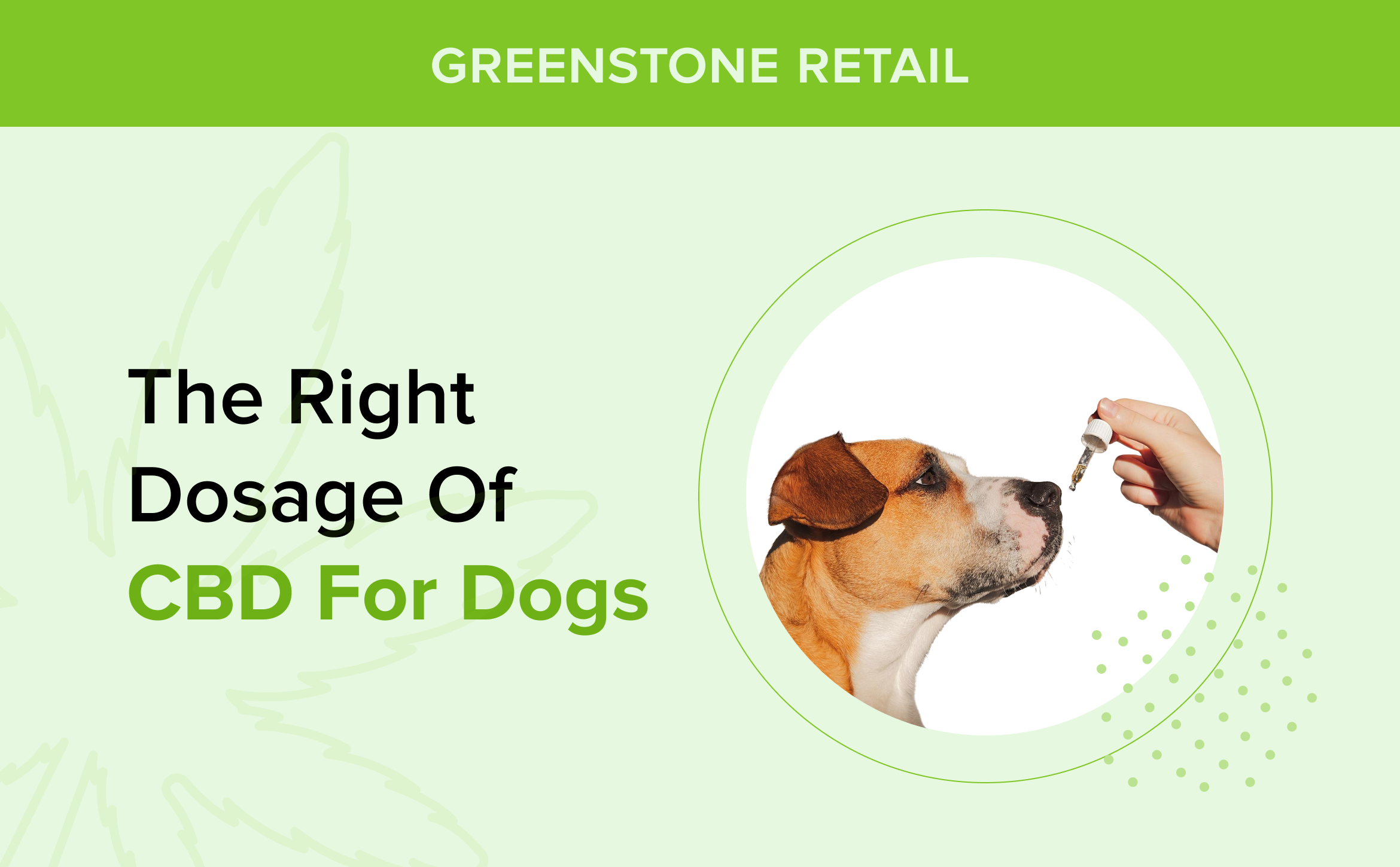 The Right Dosage of CBD for Dogs